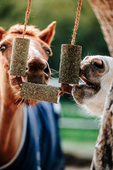 Candy Horse Wooden Toy "Calm"