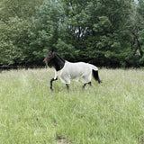 L'Evoine Fliegendecke Baumwolle