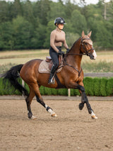 Equestrian Stockholm Springschabracke Line Champagne