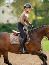 Equestrian Stockholm Springschabracke Line Champagne