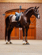 Equestrian Stockholm Dressurschabracke Line Champagne