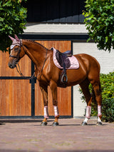 Equestrian Stockholm Springschabracke Line Pink