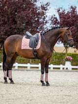 Equestrian Stockholm Dressurschabracke Line Pink