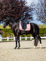 Equestrian Stockholm Dressurschabracke Line Pink