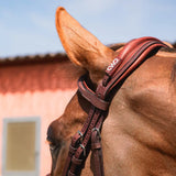 CWD Trense anatomisch mit englischem Reithalfter und Kontrastnaht