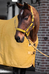 Eskadron Halfter Faux Leather Double Pin Platinum 25 Golden Yellow