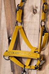 Eskadron Halfter Faux Leather Double Pin Platinum 25 Golden Yellow