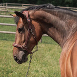 CWD Lederhalfter dunklebraun