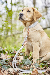 Laboni Amici Rundleine Light Grey L