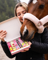 Candy Horse Sticks /w Icing "Love"