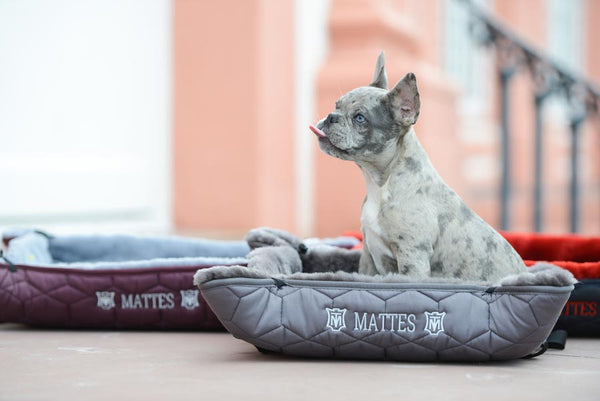 Mattes Hundebett Samt Graphit/ Lammfell dunkelgrau HW25