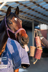 Candy Horse Wooden Toy "Full of Love"