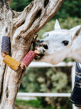 Candy Horse Wooden Toy "Happiness"