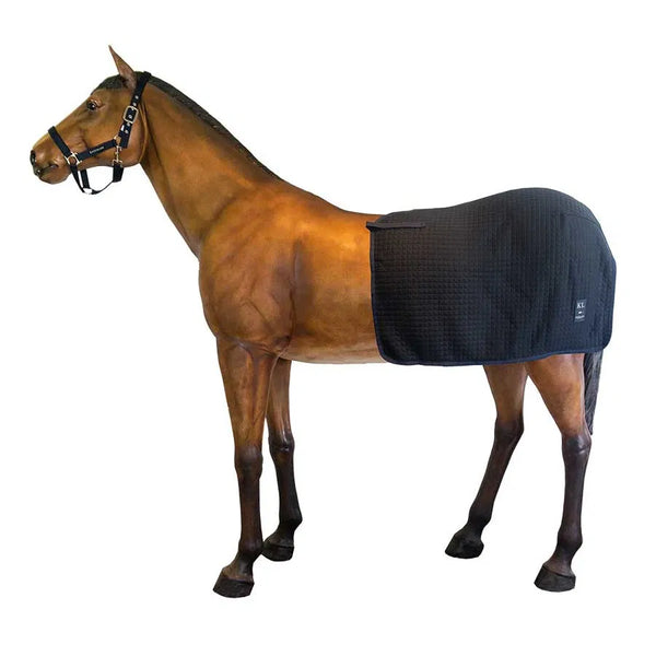 Kingsland Classic Wool Evolution Excercise Thermo Rug