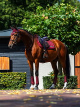 Equestrian Stockholm Springschabracke Line Bordeaux