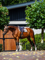 Equestrian Stockholm Springschabracke Line Champagne