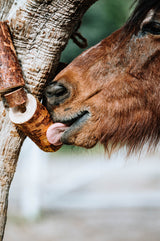 Candy Horse Wooden Toy "Natural"