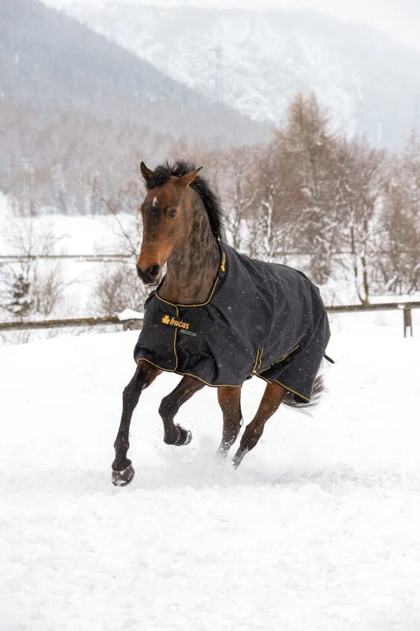 Bucas Outdoordecke Irish Turnout 300g Black/Gold