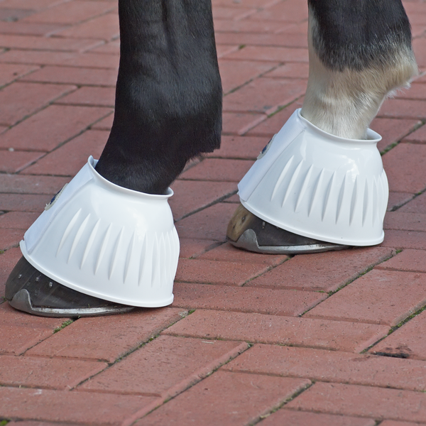 Busse Hufglocke Sturdy White
