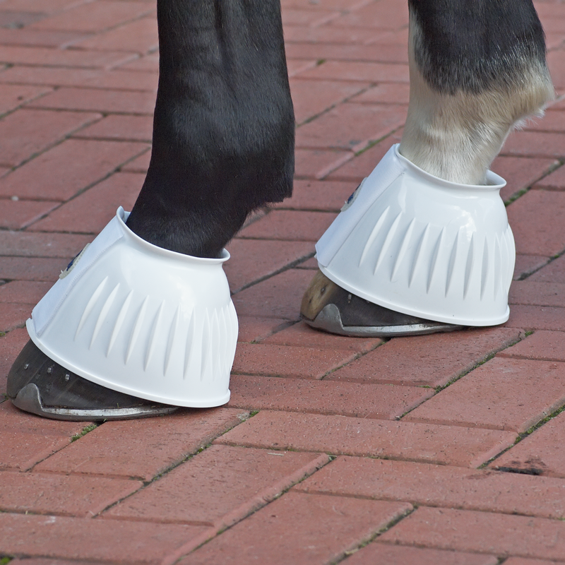 Busse Hufglocke Sturdy White