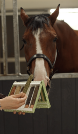 Candy Horse Sticks /w Icing "Herbs"