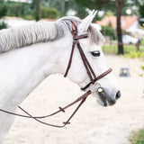 CWD Trense anatomisch mit englischem Reithalfter und Kontrastnaht