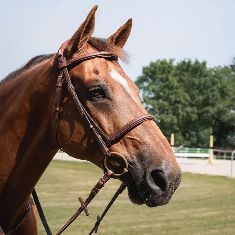 CWD Trense anatomisch mit englischem Reithalfter und Kontrastnaht