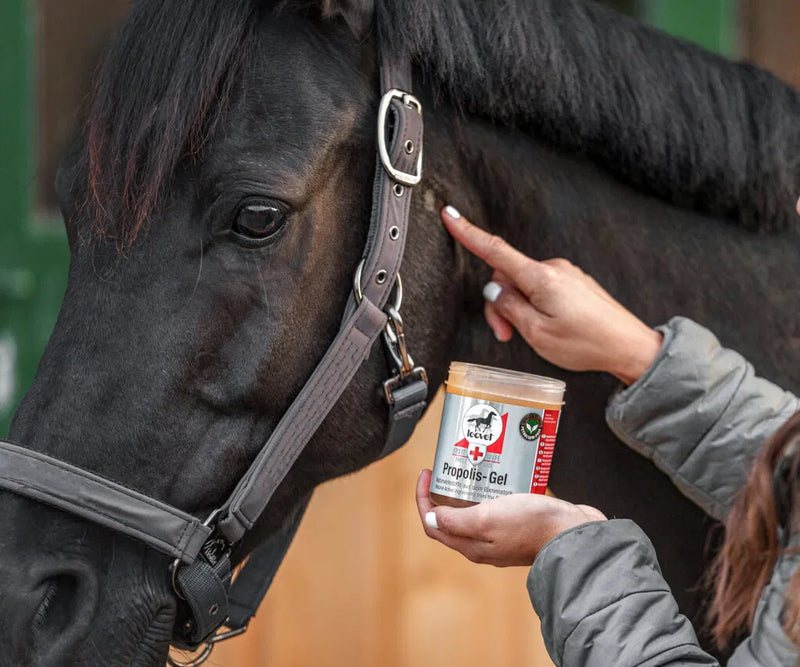 Leovet Propolis Gel