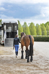 Equiline Schweifschoner Noll Black