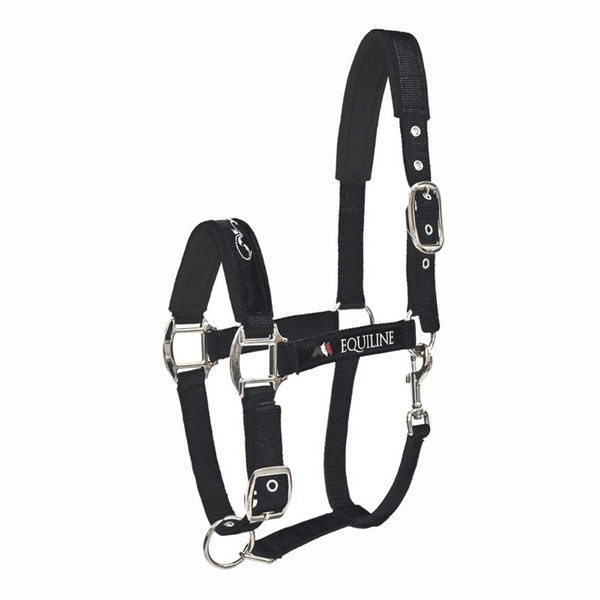 Equiline Halfter Timmy Black