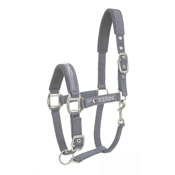 Equiline Halfter Timmy Light Grey