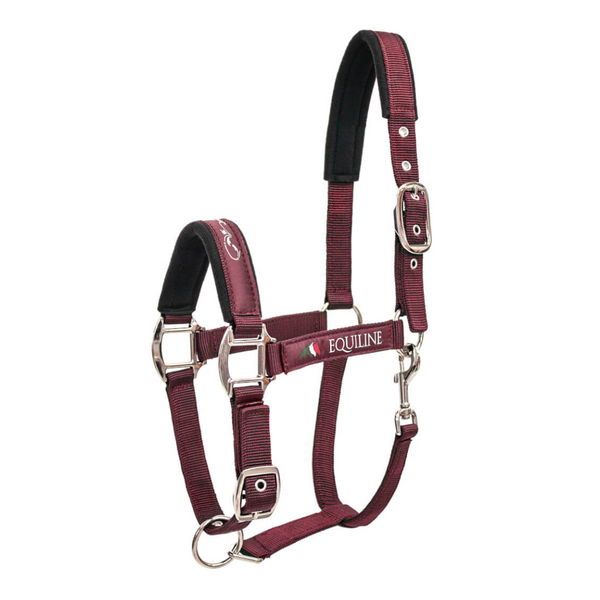Equiline Halfter Timmy Bordeaux